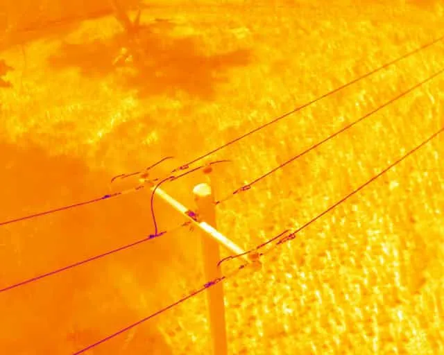 Thermal imaging of power lines
